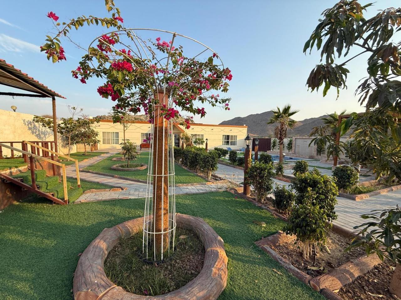 800 Mountain Resort Vacation House Al Fujayrah Exterior foto